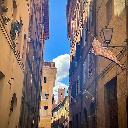 Dimora Con Finestra Sui Tetti Di